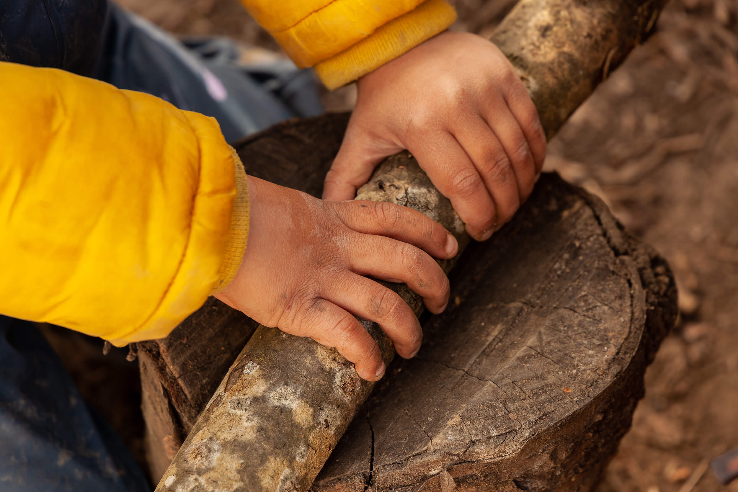 Muddy hands holding a branch