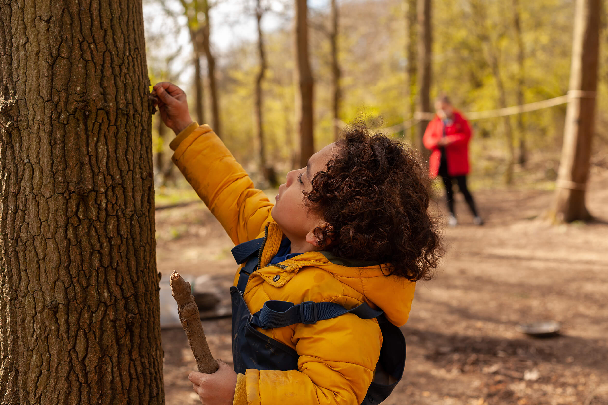 Boy looking at a tree