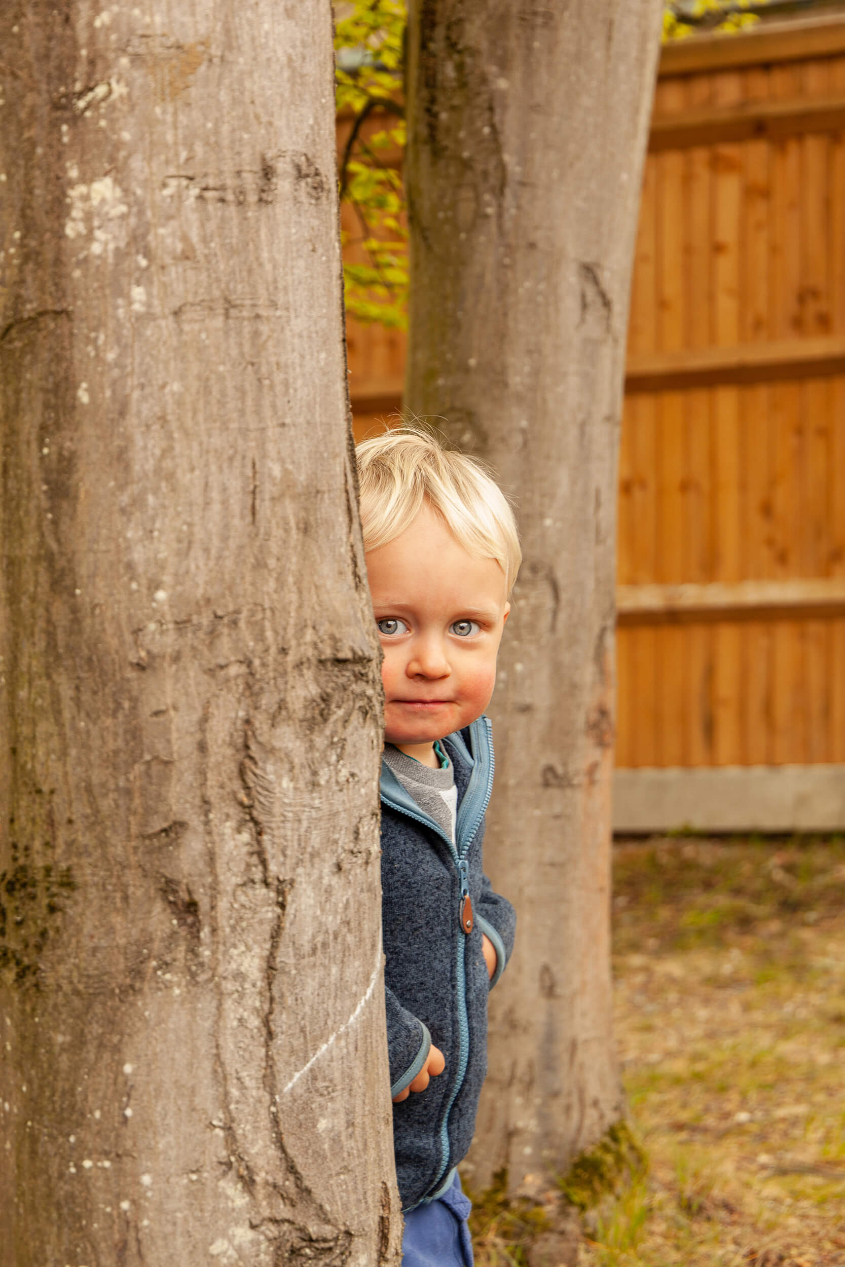 Boy looking from behind a tree