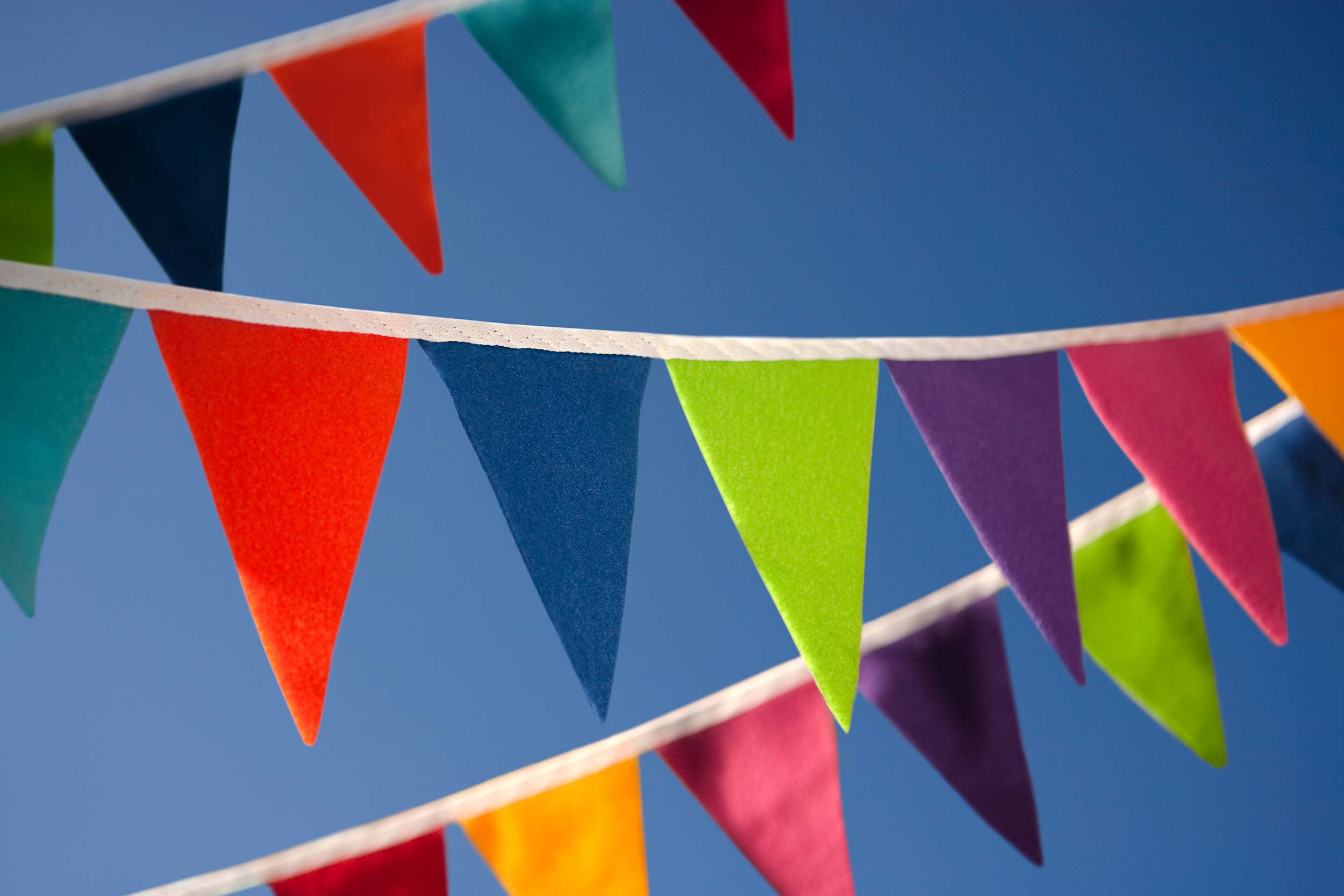 Bunting in the sky