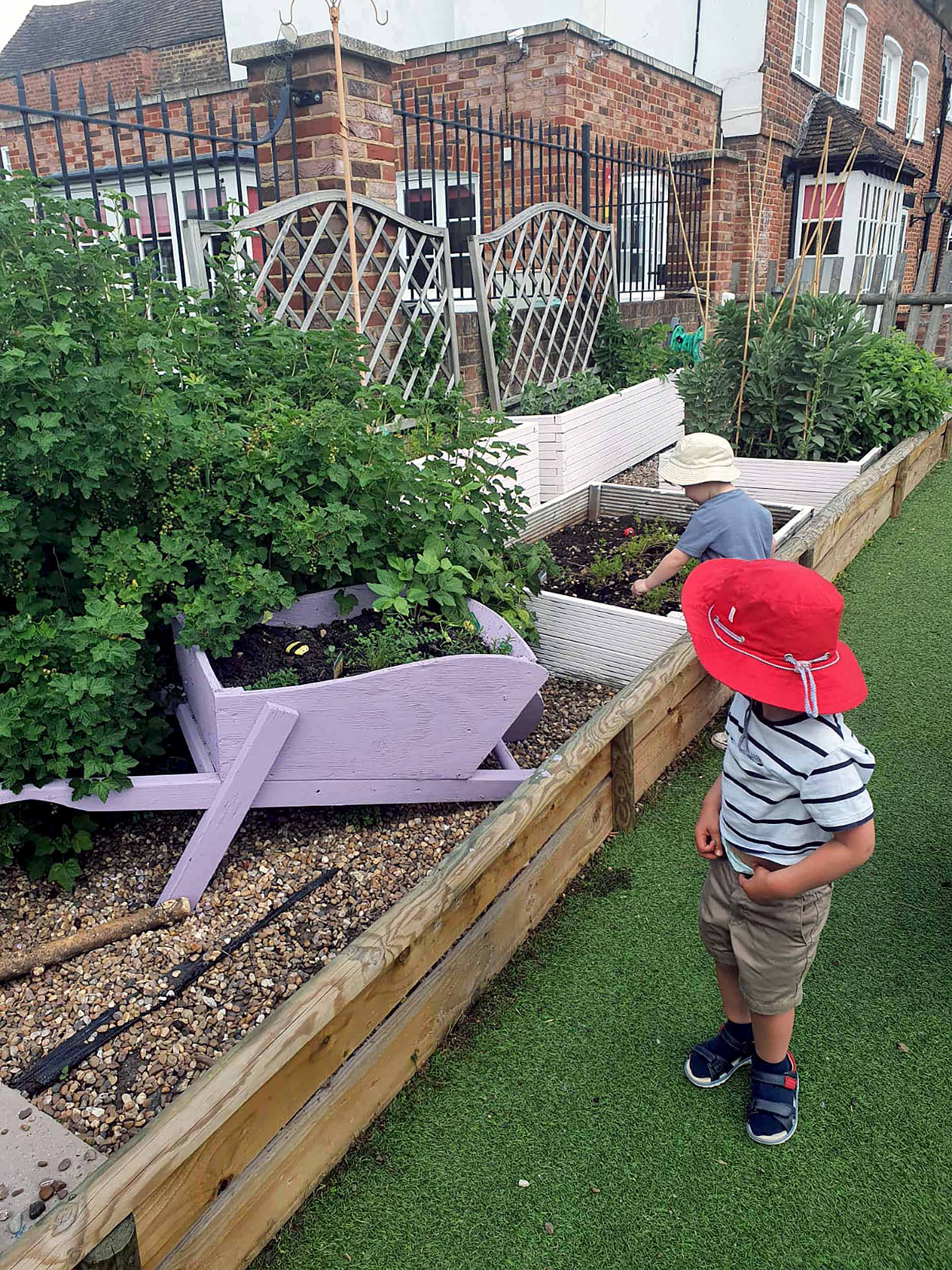 Grow your own at Nursery