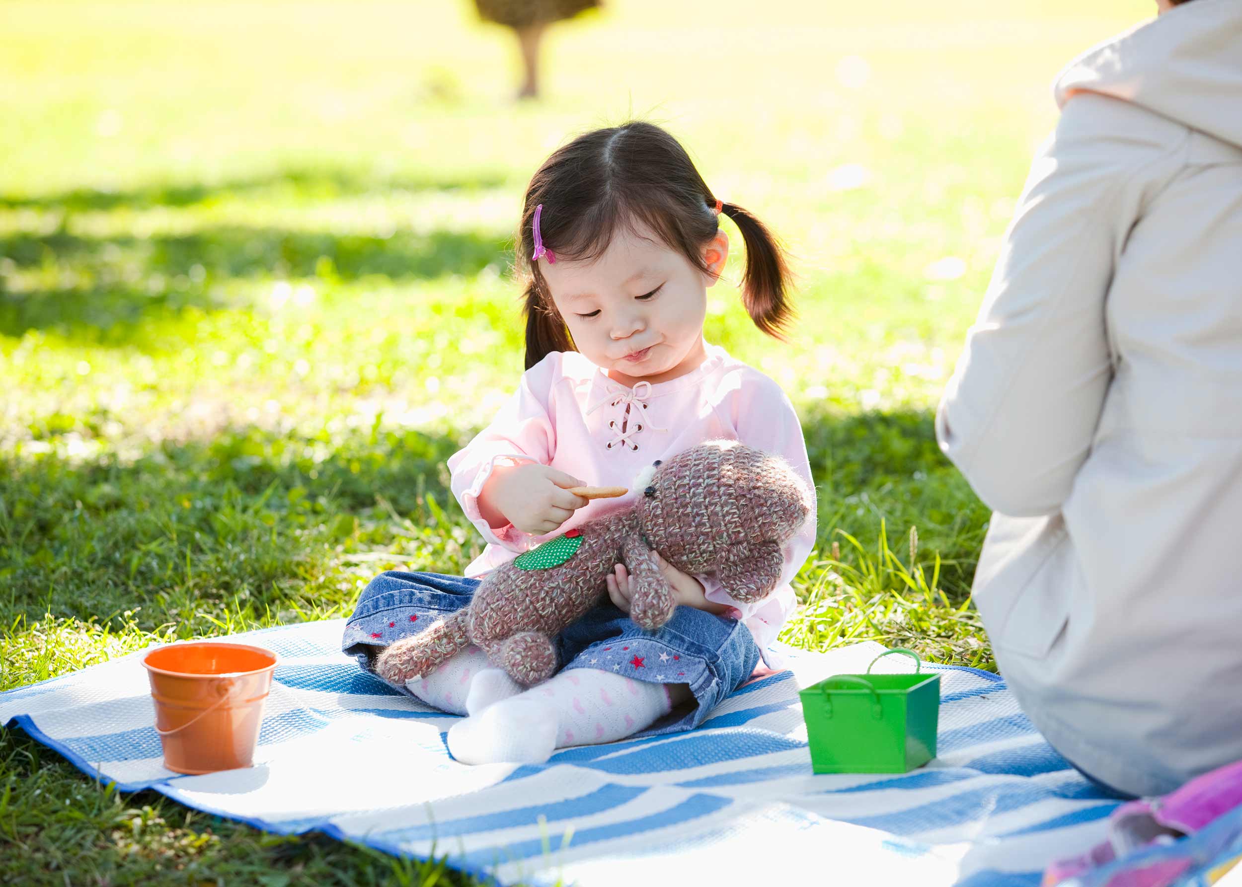 Teddy Bears Picnic