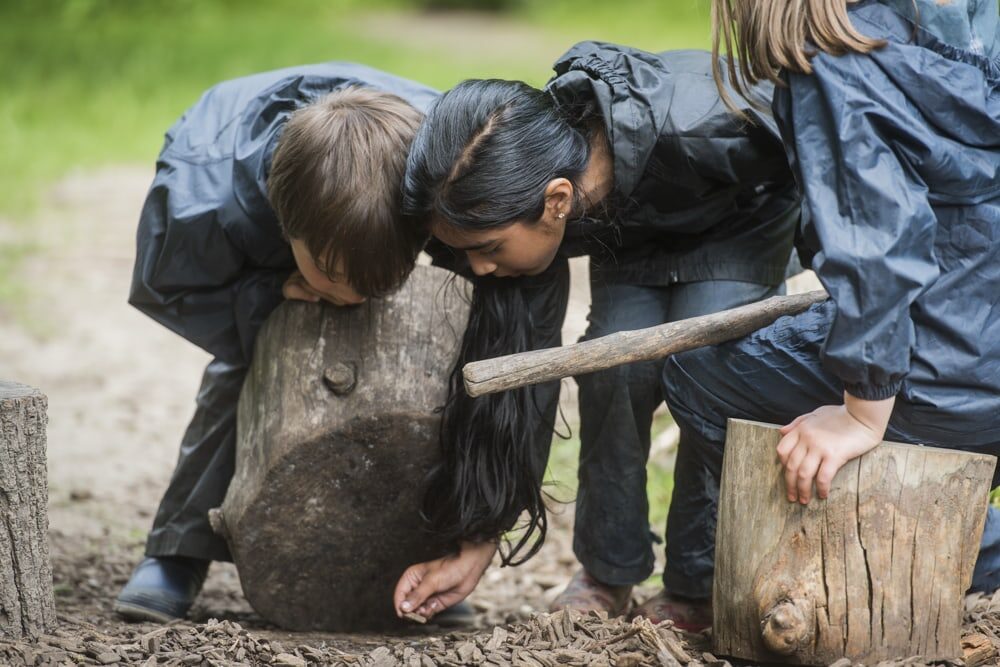 Outdoor Classroom Day