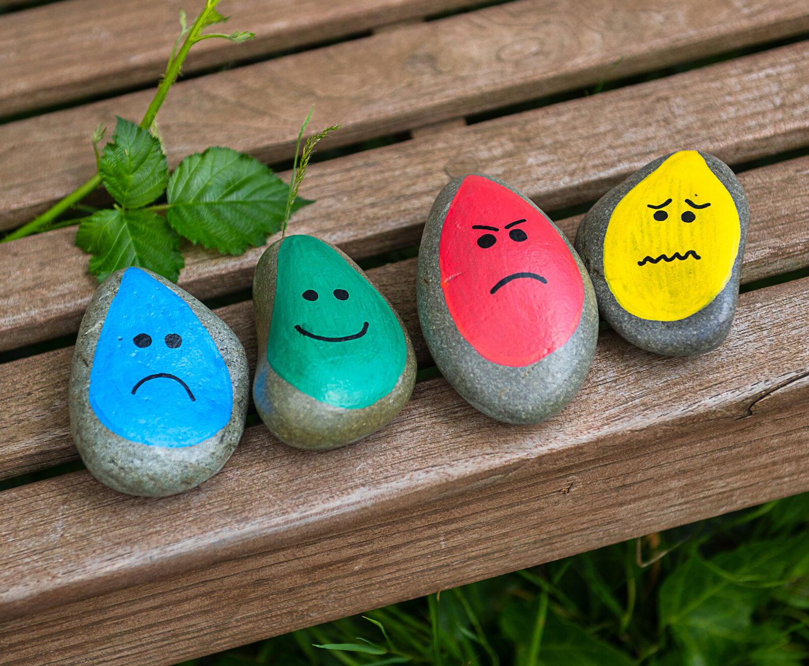 Special Educational Needs Pebbles