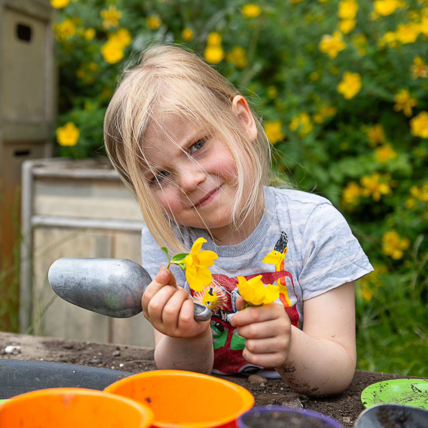 little girl planting flowers holding a small metal spade