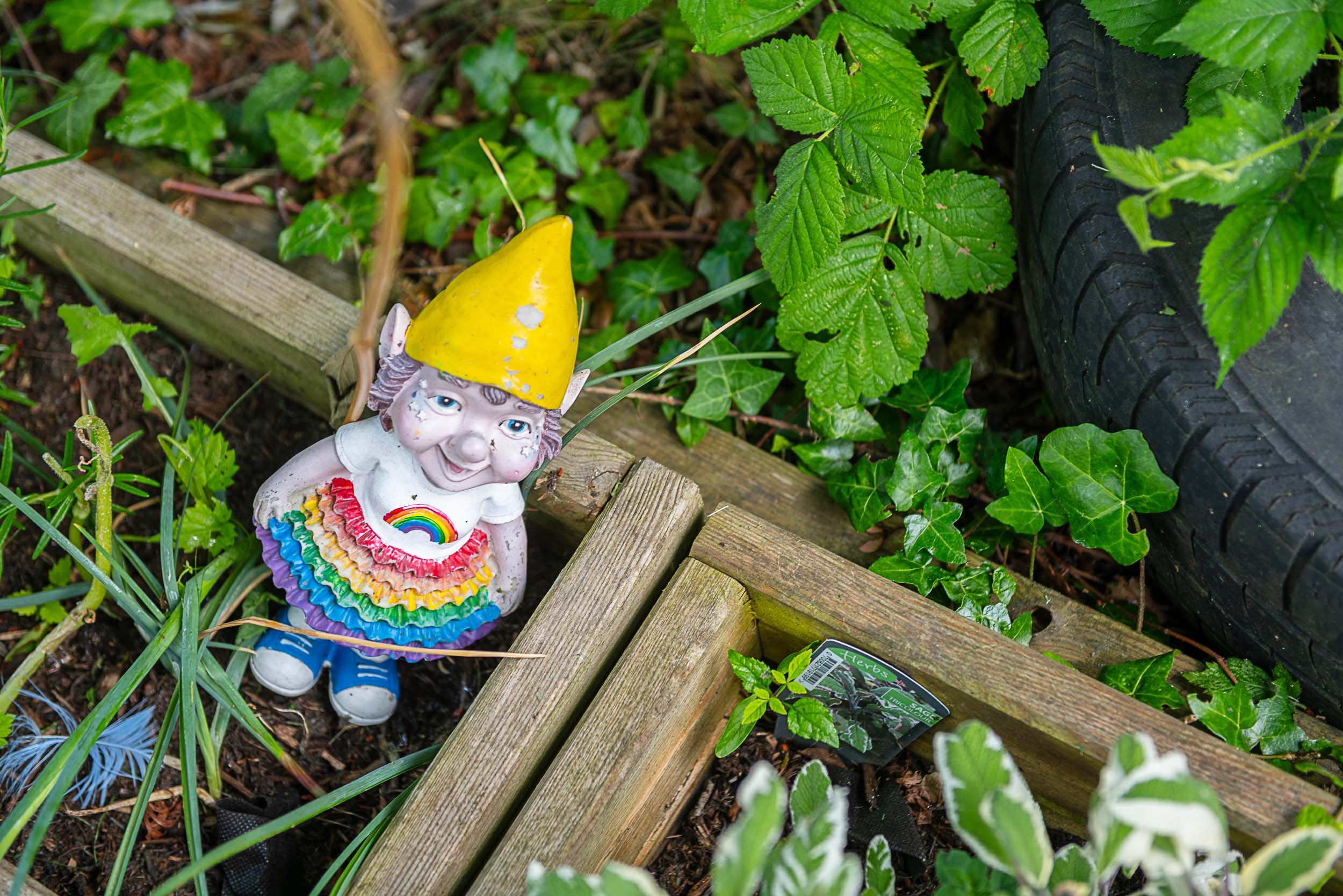 A planted area with a colour gnome laying on the edge
