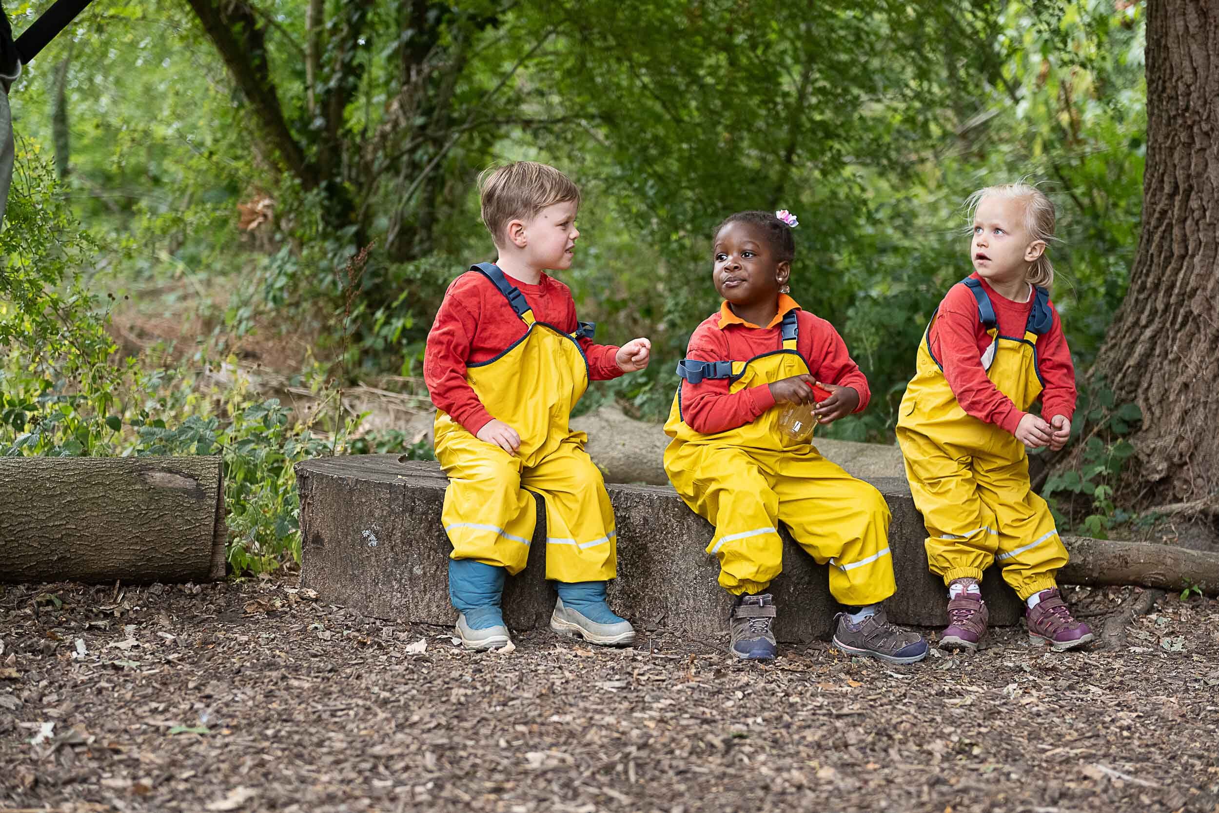 A group of children in their outdoor waterproofs, sat on tree stumps, looking around