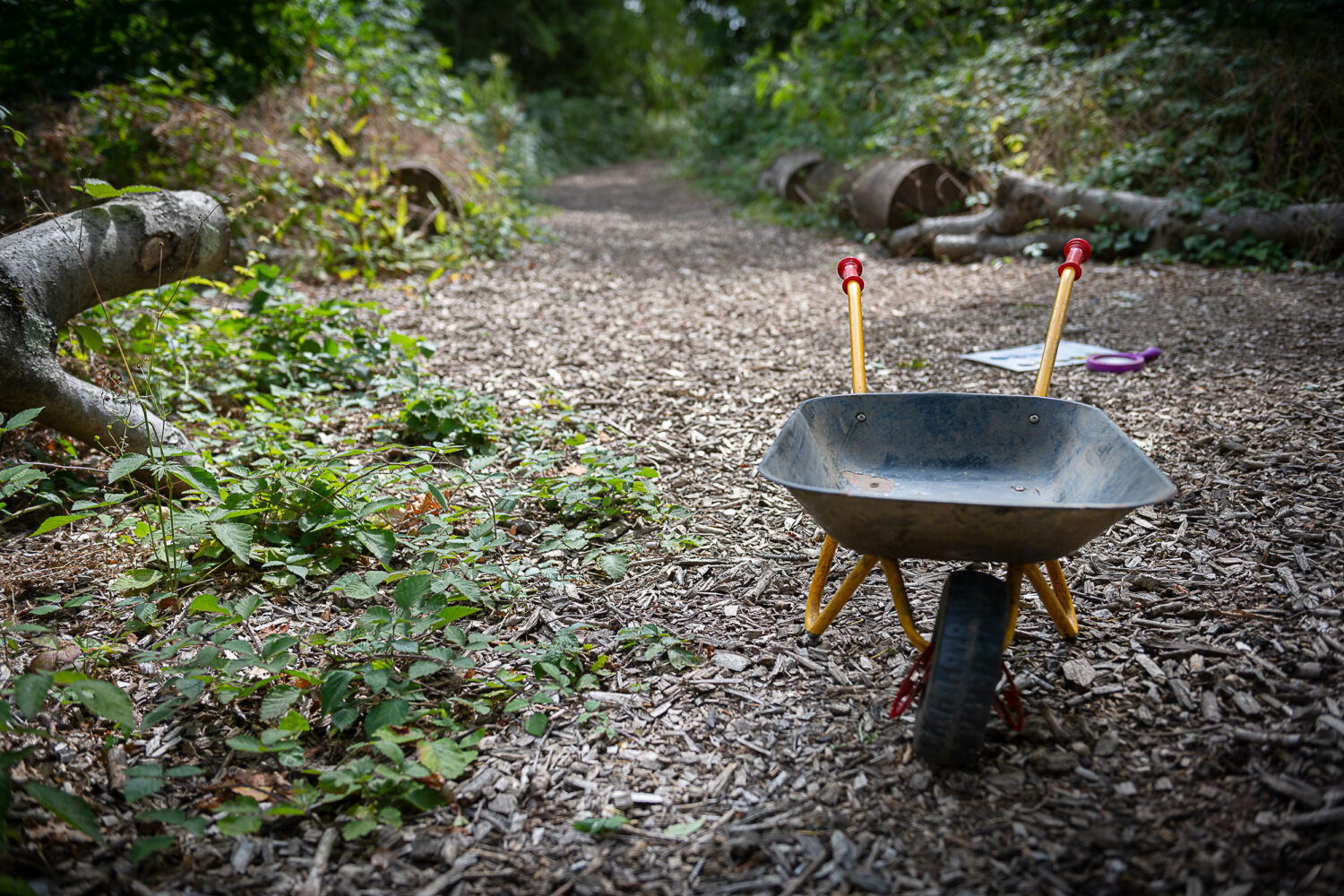 A childs wheel barrow on a woodland path