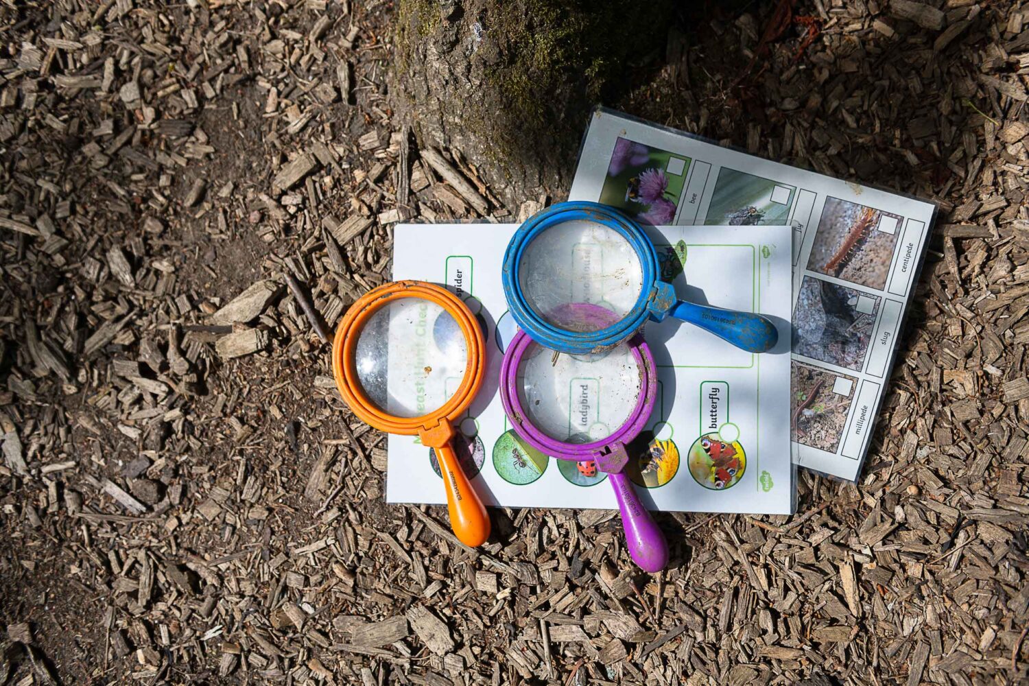 magnifying glasses laying on top of information sheets on a dirt and bark chip covered floor