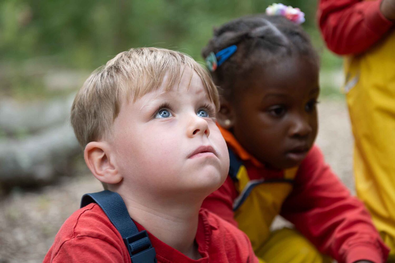 A little boy looking up at the sky