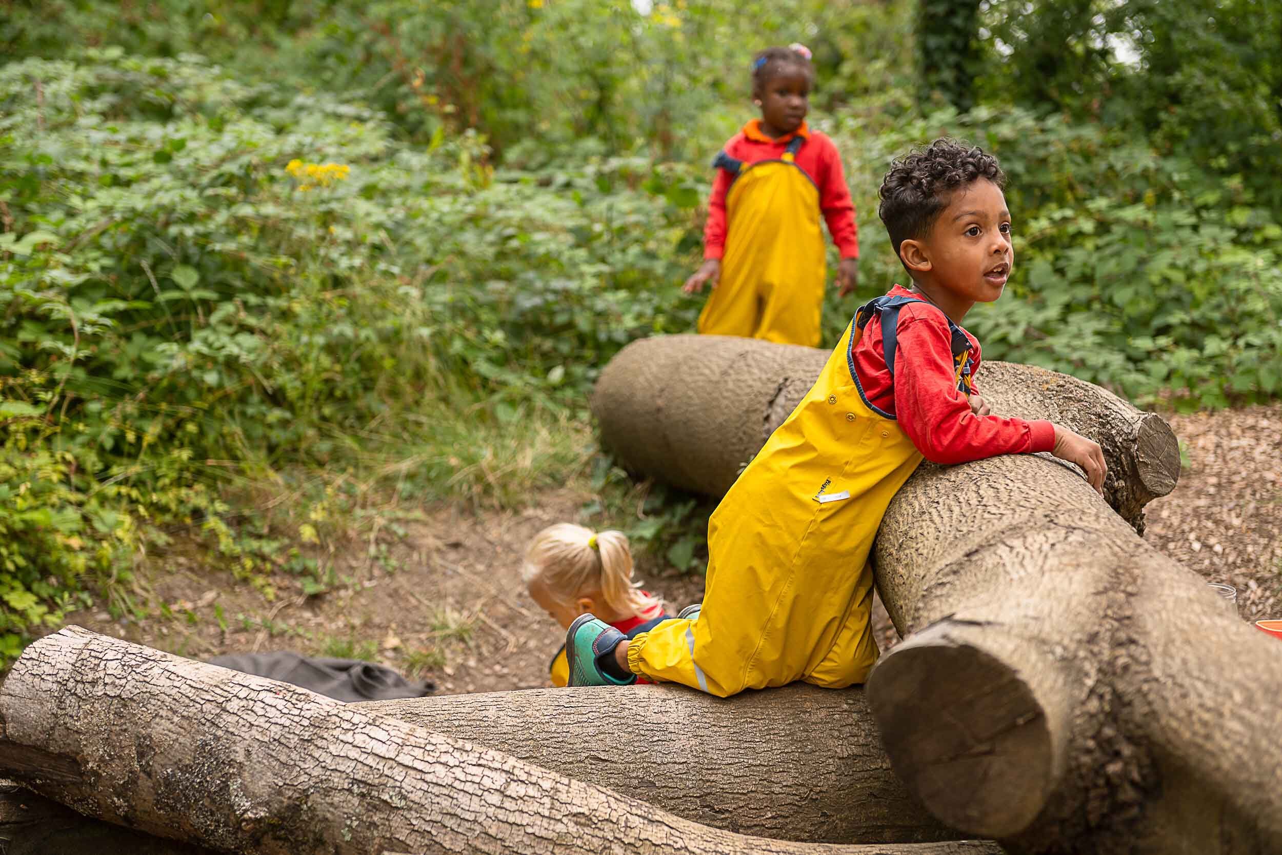 Children climbing over stacked logs